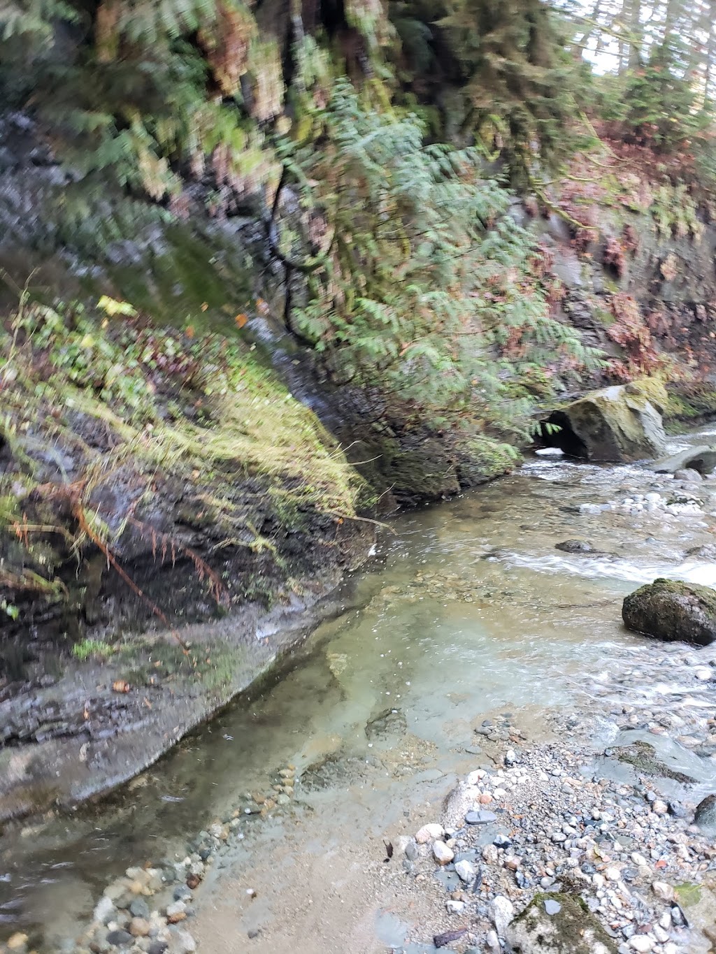 North Fork Loop Trail, | N Fork Loop Trail, Maple Ridge, BC V4R 1E3, Canada