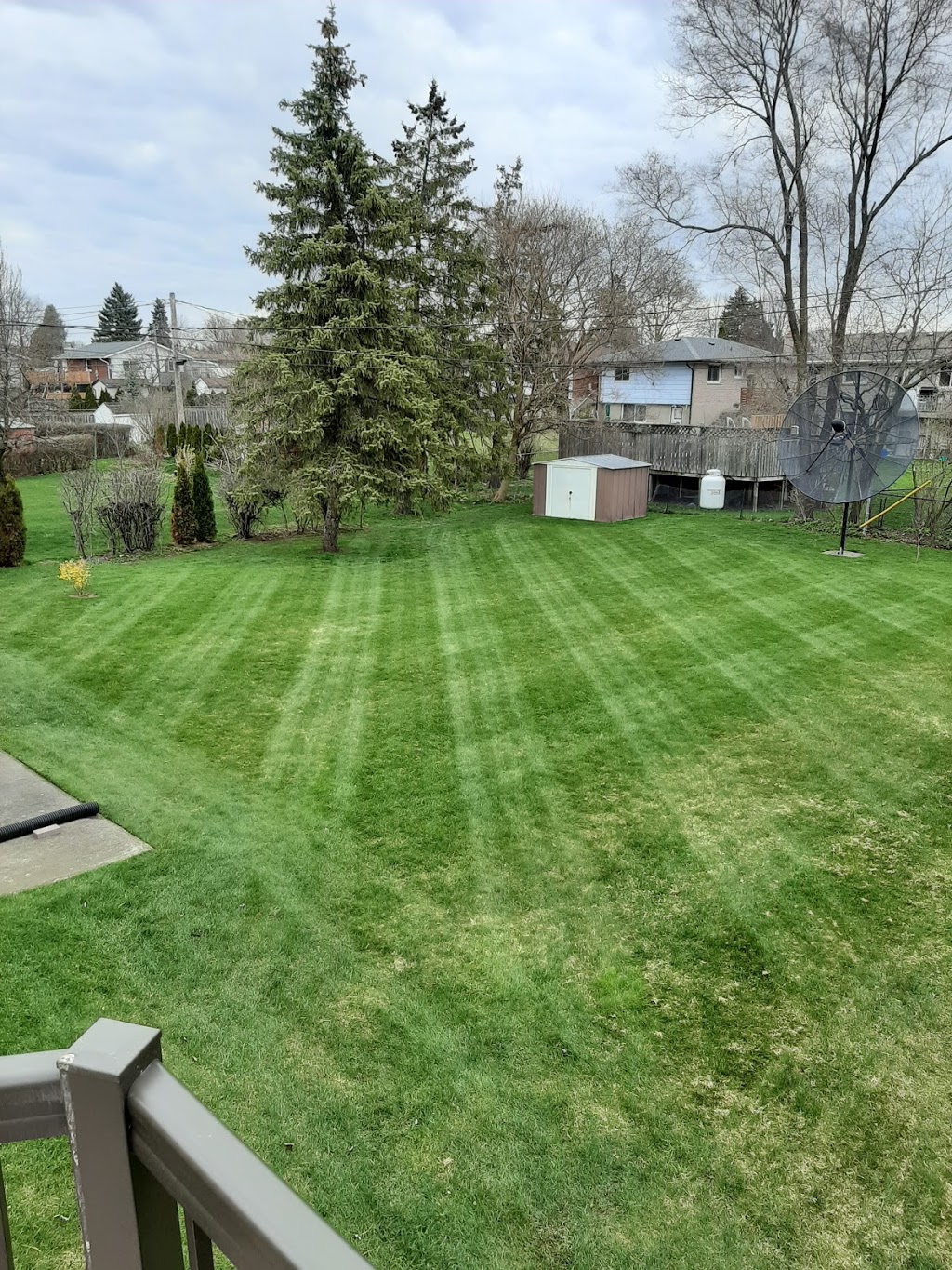 Star Lawn Svc | 32 Bretz Ave, Cambridge, ON N3C 2W9, Canada | Phone: (519) 658-7189