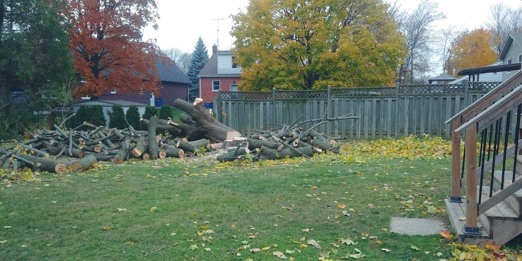 Island Breeze Tree Service | 375 Tecumseh Rd, Wallaceburg, ON N8A 4K9, Canada | Phone: (519) 627-3456