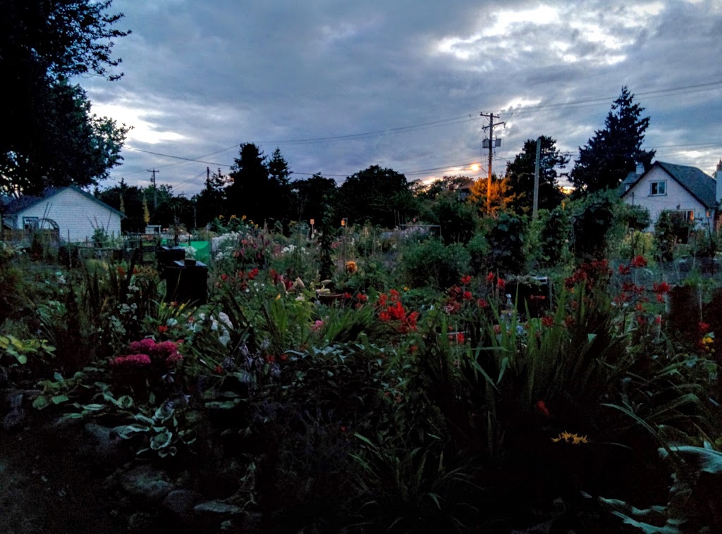 James Bay Allotment Garden | 163 Montreal St, Victoria, BC V8V 1K6, Canada