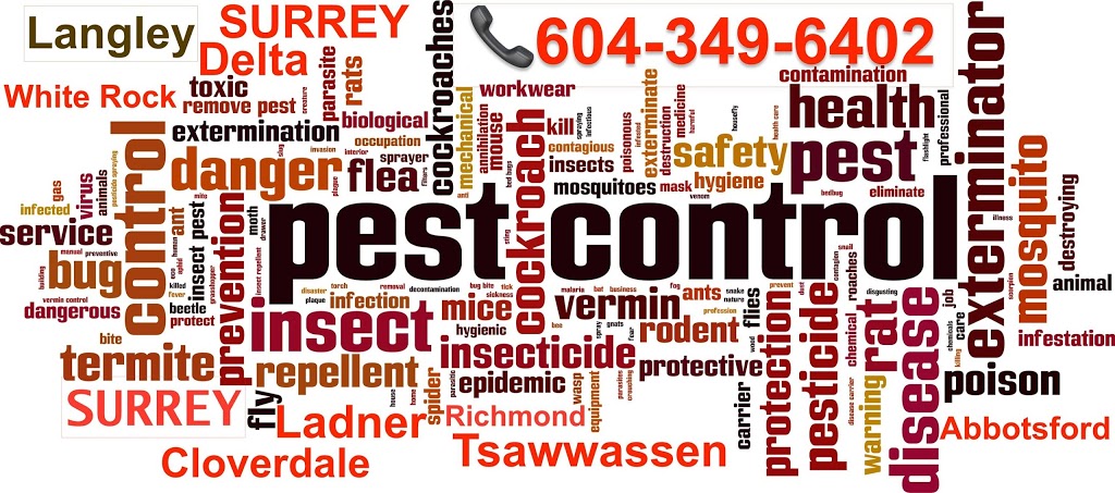 Total Pest Control | 129-7475 135 St, Surrey, BC V3W 0M8, Canada | Phone: (604) 349-6402