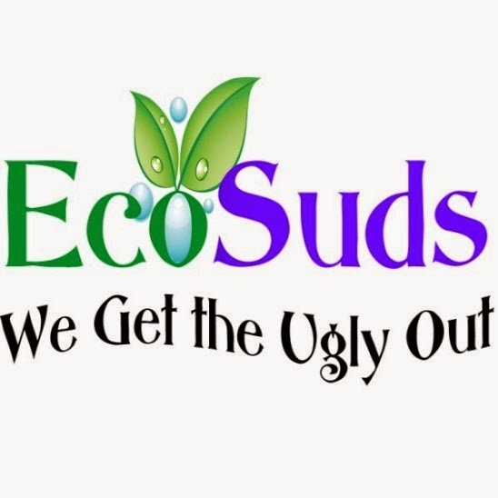 Ecosuds Carpet and Upholstery Care | 221 Barton St Unit B, Stoney Creek, ON L8E 2K3, Canada | Phone: (905) 667-5624