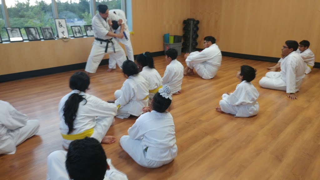 Classical Martial Arts Brampton | 315 Royal W Dr Unit F/G, Brampton, ON L6X 0B3, Canada | Phone: (647) 701-0850