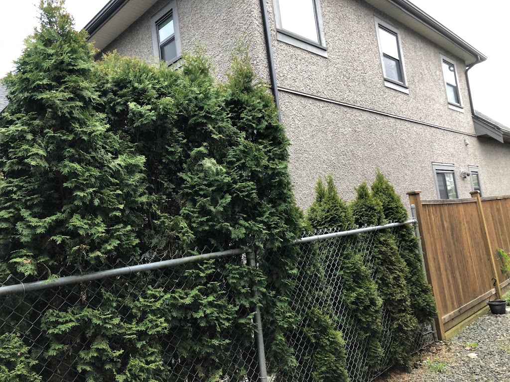 JF Hedge Trimming LTD. | 4033 240 St, Langley, BC V2Z 2L4, Canada | Phone: (778) 241-0416