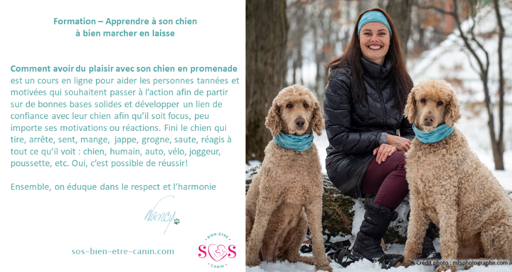 SOS Bien-Être Canin | 260 Rue des Topazes, Boischatel, QC G0A 1H0, Canada | Phone: (418) 353-8913