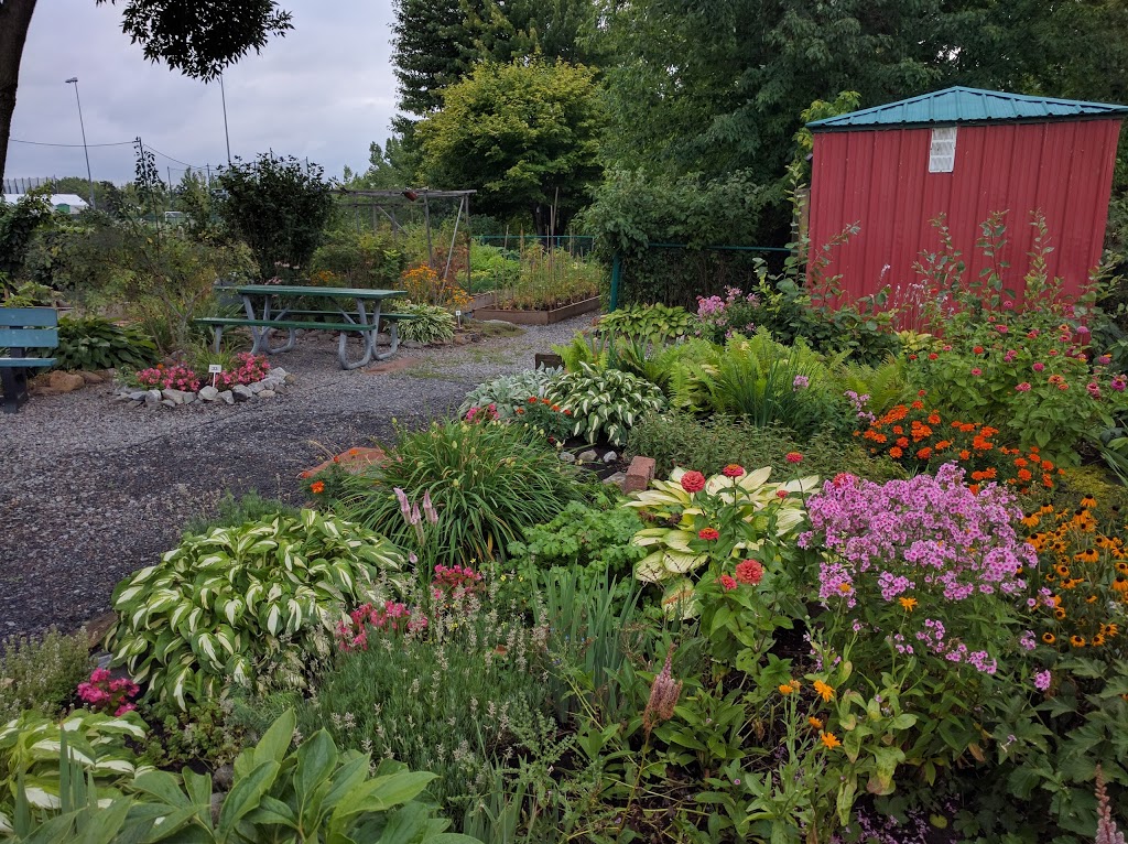 Local Community Gardens | 452 Chemin du Club Marin, Verdun, QC H3E 1V9, Canada | Phone: (514) 765-7270