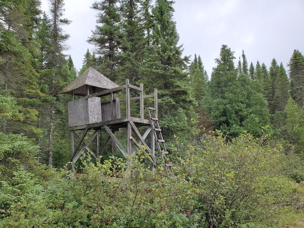 Pourvoirie ECO Camachigama | 1 Chemin du Lac Clair, Senneterre, QC J0Y 2M0, Canada | Phone: (613) 285-7555