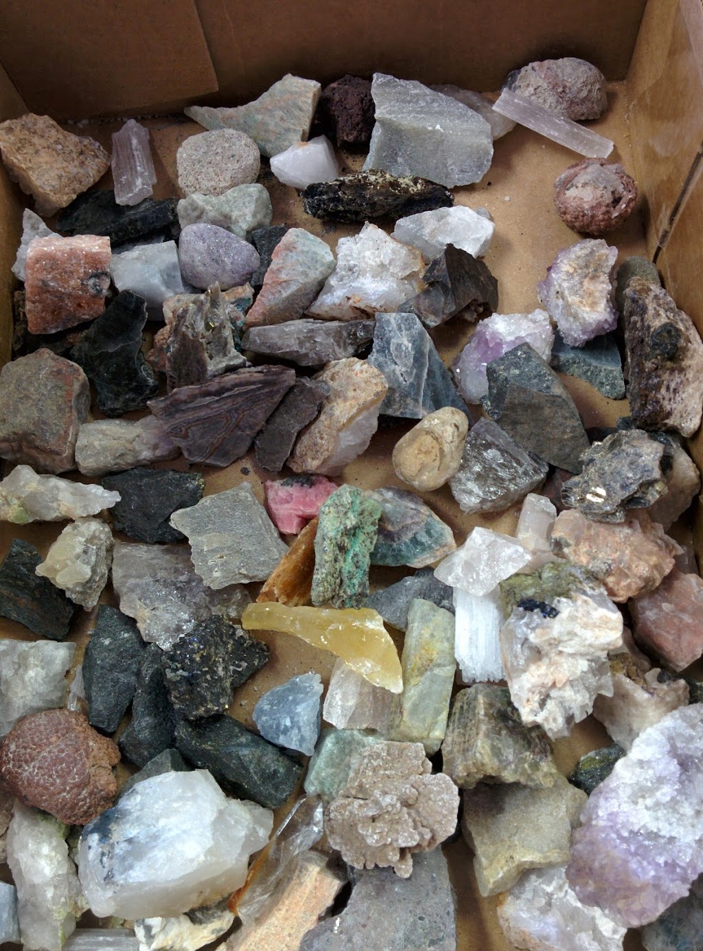 Toths Fossils and Minerals | 316 Harris St, Ingersoll, ON N5C 3J8, Canada | Phone: (519) 485-1351