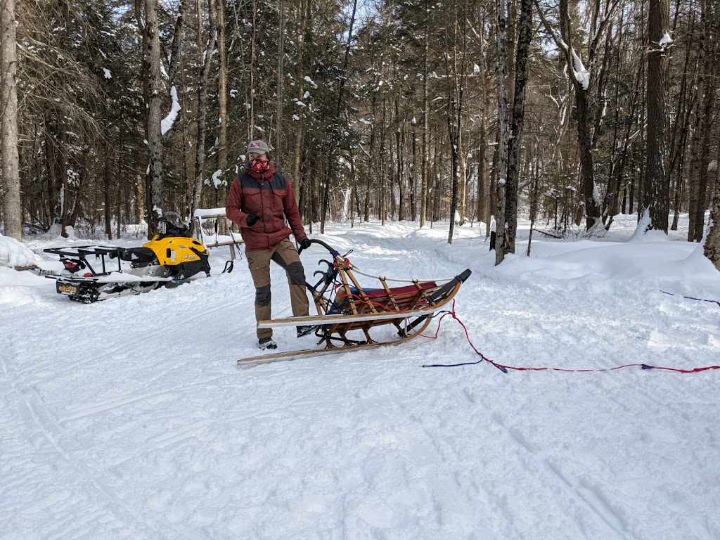 Winterdance Dogsled Tours | Hodgson Dr, Eagle Lake, ON K0M 1M0, Canada | Phone: (705) 457-5281