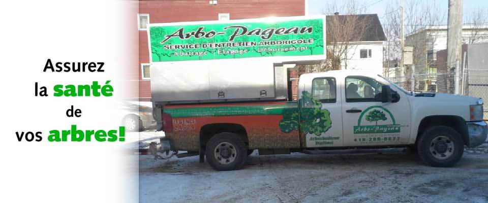 Arbo-Pageau service dentretien arboricole | 619 Rte des Fondateurs, Larouche, QC G0W 1Z0, Canada | Phone: (418) 290-8877