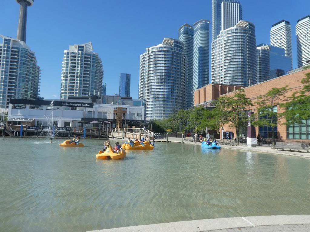 Harbourfront Centre Camps | 235 Queens Quay W, Toronto, ON M5J 2G8, Canada | Phone: (416) 973-4093