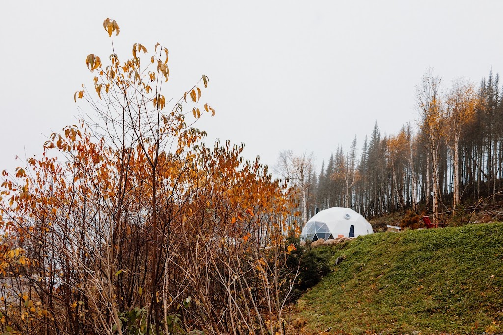 Les diamants de lÉternel | 451 Rue du Massif, Saint-david de falardeau, QC G0V 1C0, Canada | Phone: (418) 673-3330