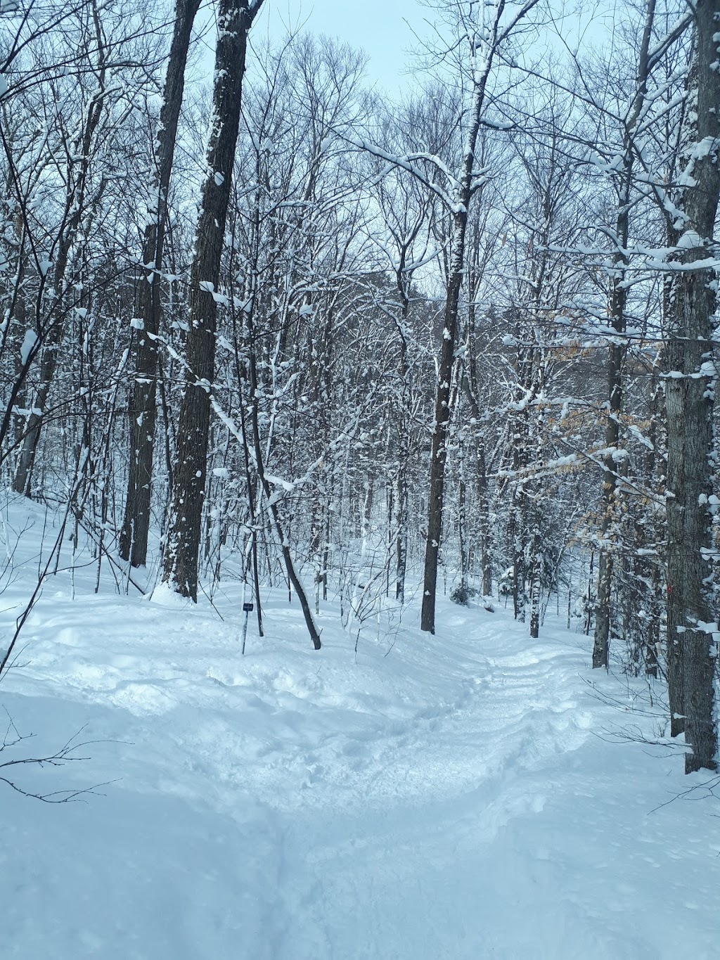 Domaine naturel du lac Gale | 201 Chemin du Lac Gale, Bromont, QC J2L 2S5, Canada | Phone: (450) 534-4414