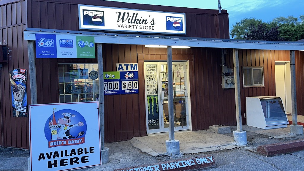 Waynes World (Wilkins Variety) | 31 Wilkins St, Belleville, ON K8P 1P2, Canada | Phone: (613) 919-5149