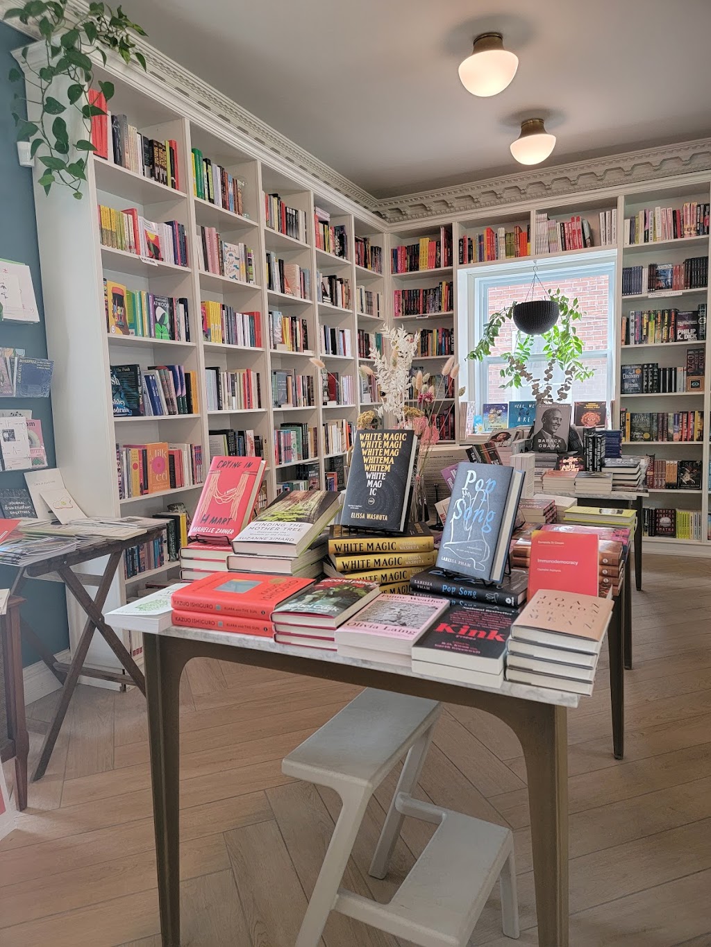 Librairie Saint-Henri Books | 4622 Rue Notre Dame, Montréal, QC H4C 1S4, Canada | Phone: (438) 831-0584