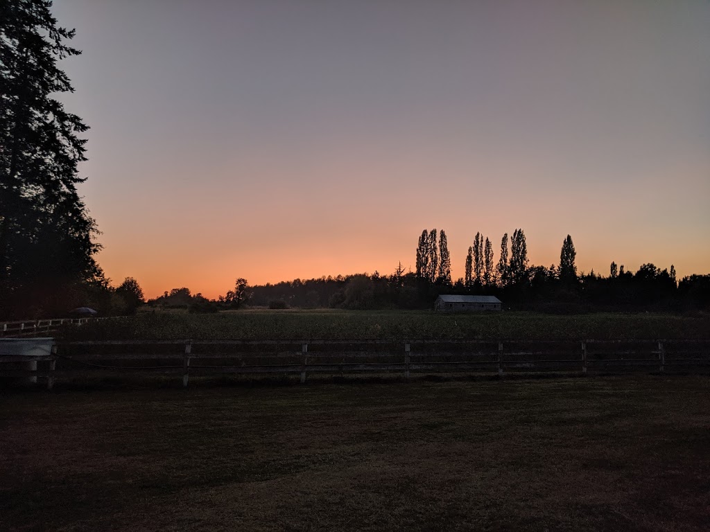 Jay’s Blueberry Farm | 21902 Telegraph Trail, Langley City, BC V1M 3S6, Canada | Phone: (604) 783-1799