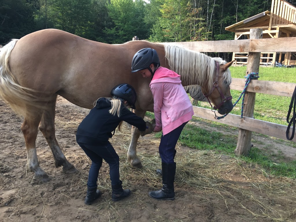 Ranch Au gré du vent | 258 Chemin Gaudreau, Brigham, QC J2K 4E6, Canada | Phone: (450) 955-6565