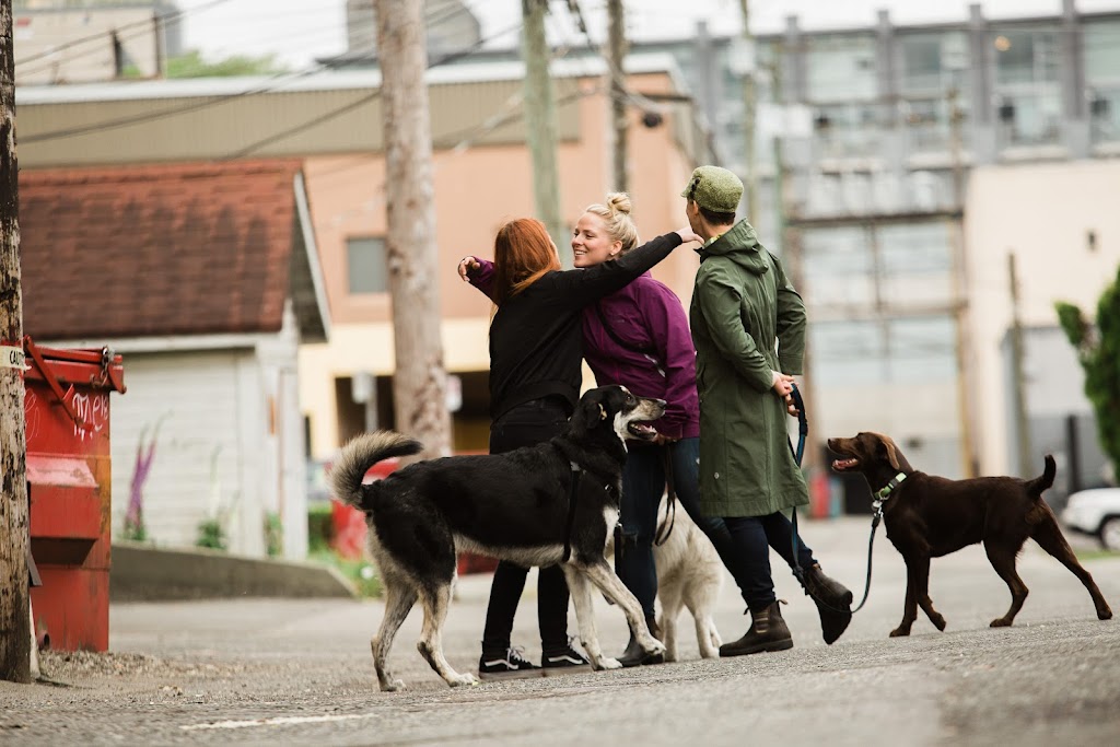 Canine Connection Training - Comox Valley Branch | 2500 Mission Rd, Courtenay, BC V9N 9H1, Canada | Phone: (604) 362-3626