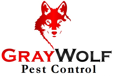 Gray Wolf Pest Control | Canada, 6630 St Michaels Dr, Windsor, ON N9J 3G7, Canada | Phone: (519) 987-3490