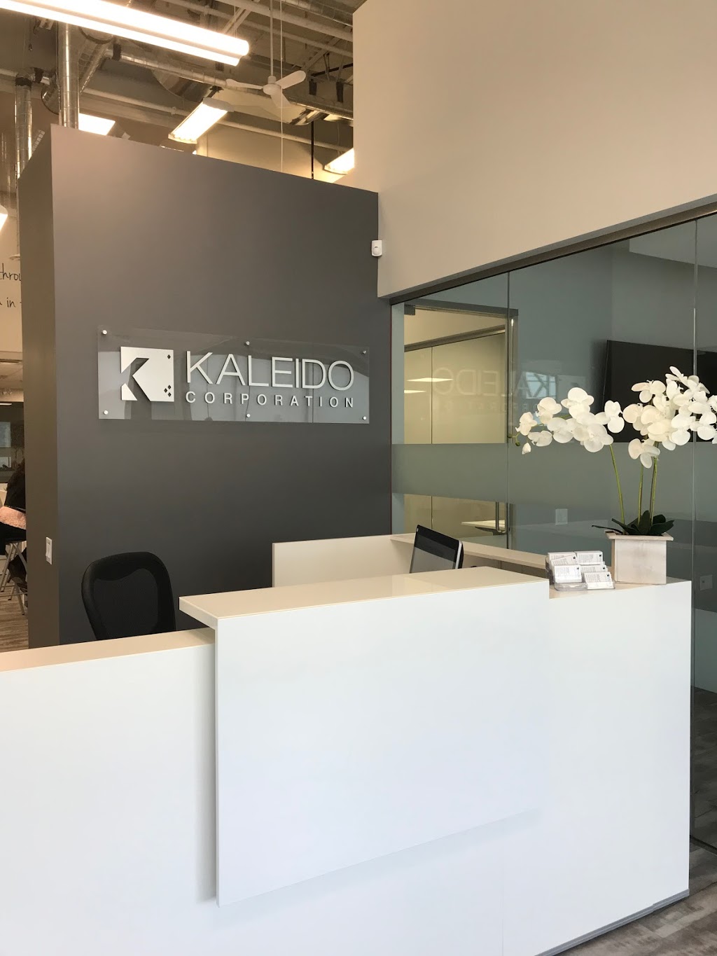 Kaleido Corporation | 595 Cityview Blvd Unit 2, Woodbridge, ON L4H 3M7, Canada | Phone: (647) 499-1546