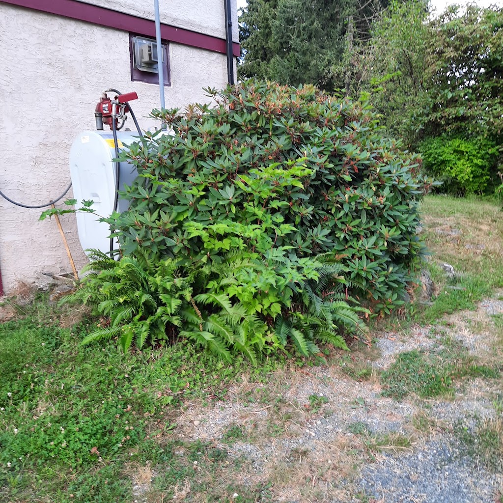Grampys weed removal. | 249 Grants Lake Rd, Lake Cowichan, BC V0R 2G0, Canada | Phone: (250) 891-3734