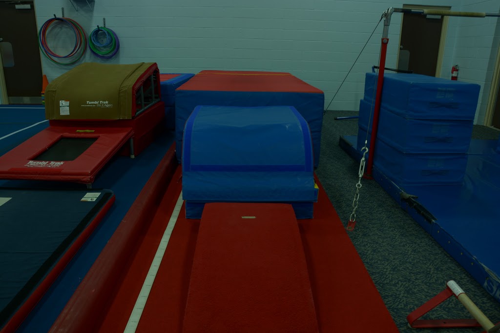 Guelph Saultos Gymnastics | 377 College Ave W, Guelph, ON N1G 4T4, Canada | Phone: (519) 837-3335