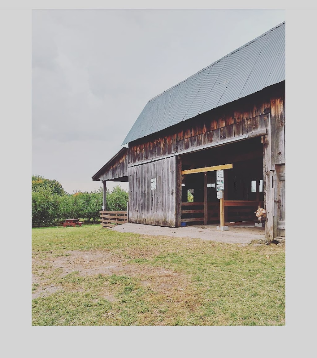 C.E. Petch - Orchards / Cidery / Distillery | 431 QC-202, Hemmingford, QC J0L 1H0, Canada | Phone: (450) 247-3414