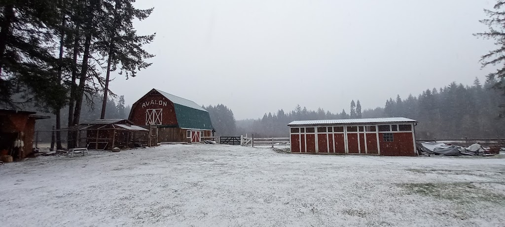 Avalon Blueberry Farm | 8286 Faber Rd, Port Alberni, BC V9Y 9B4, Canada | Phone: (250) 724-6821