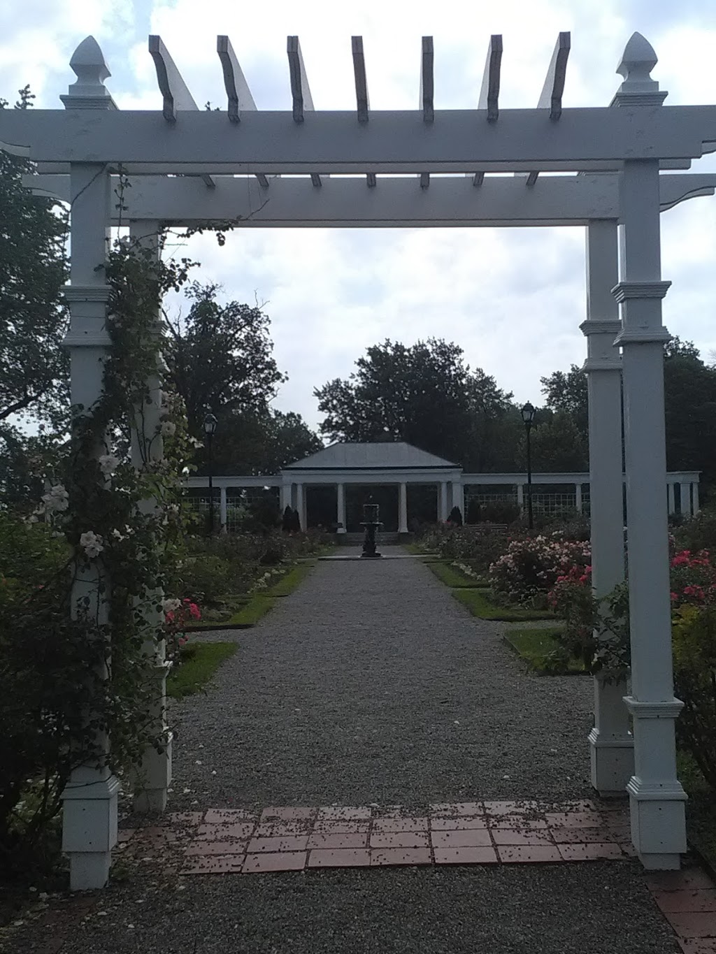 Delaware Park Rose Garden | 199 Lincoln Pkwy, Buffalo, NY 14222, USA | Phone: (716) 886-0088