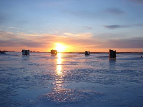 Pêcherie Sainte-Angèle-de-Laval | 16050 Boul Bécancour, Bécancour, QC G9H 2M1, Canada | Phone: (819) 222-9913