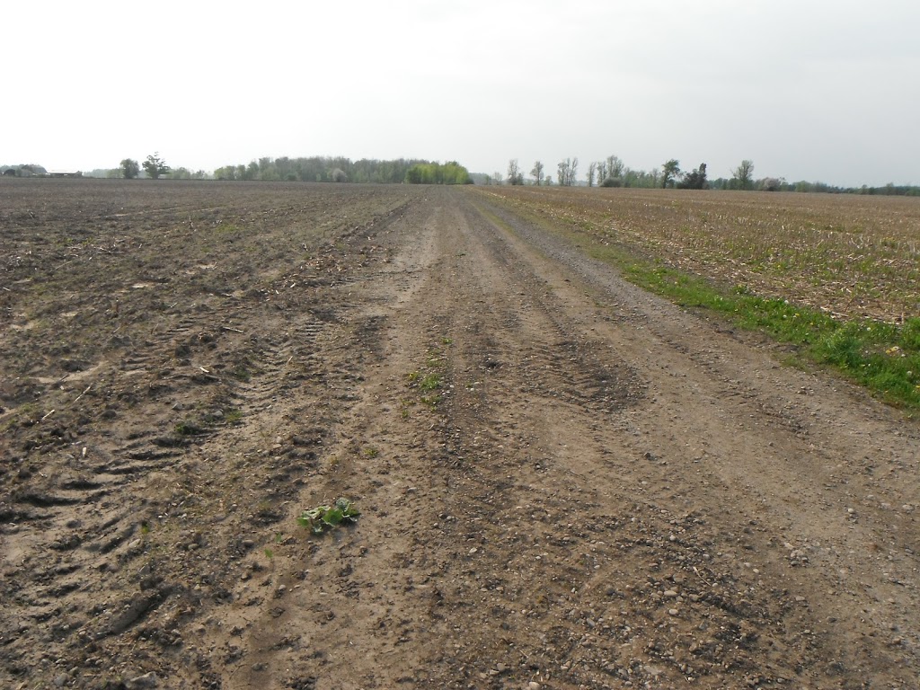 Perth Harvest Pathway Trailhead - G2G Trail | Monkton, ON N0K 1P0, Canada