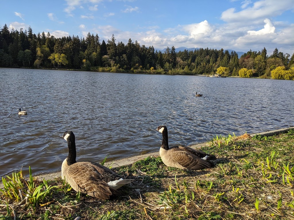 Stanley Park Nature House on Lost Lagoon | 712 Lost Lagoon Path, Vancouver, BC V6G 2S1, Canada | Phone: (604) 257-8544