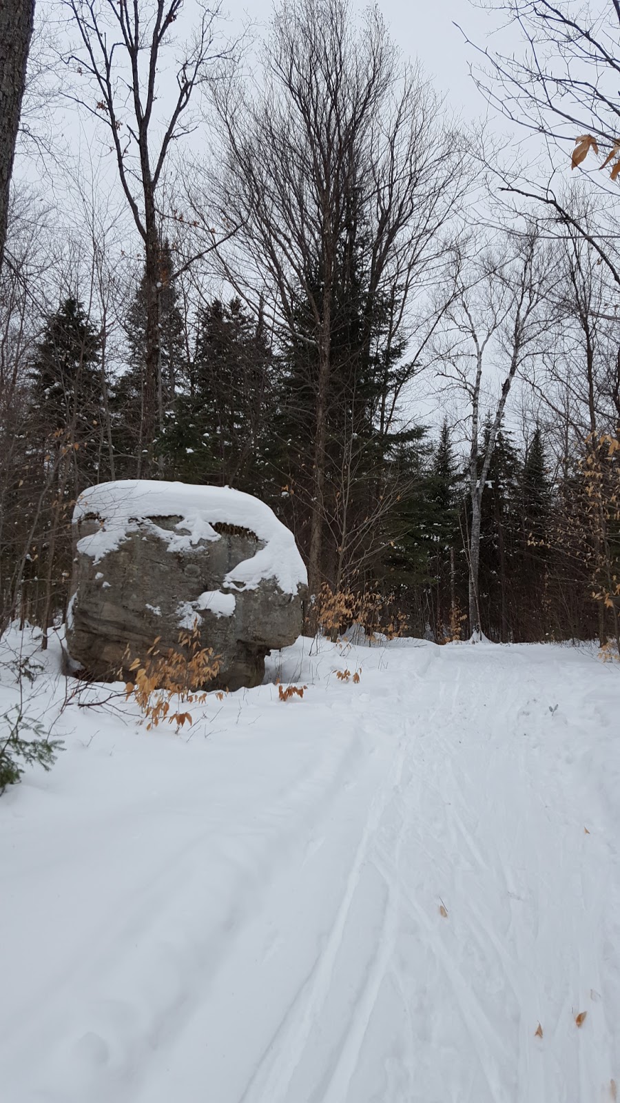 Chalet La Vigie | 600 Chemin Martin-Prévost, Sainte-Béatrix, QC J0K 1Y0, Canada | Phone: (514) 996-4325