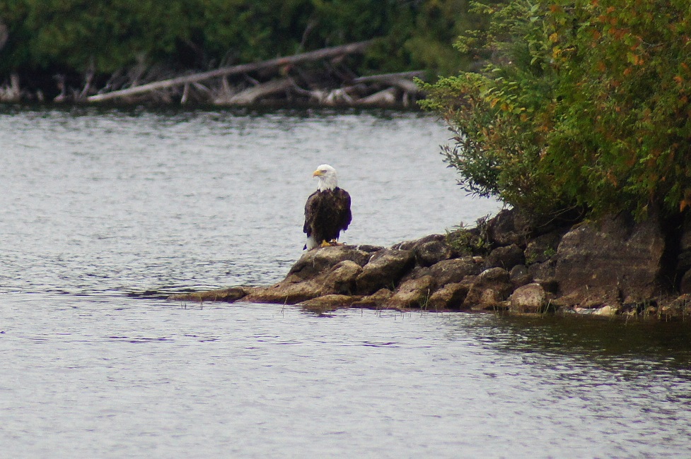 Pourvoirie Moselle-Natakim | 2 Chem. du Tour du Lac, Sainte-Anne-du-Lac, QC J0W 1V0, Canada | Phone: (819) 586-2000