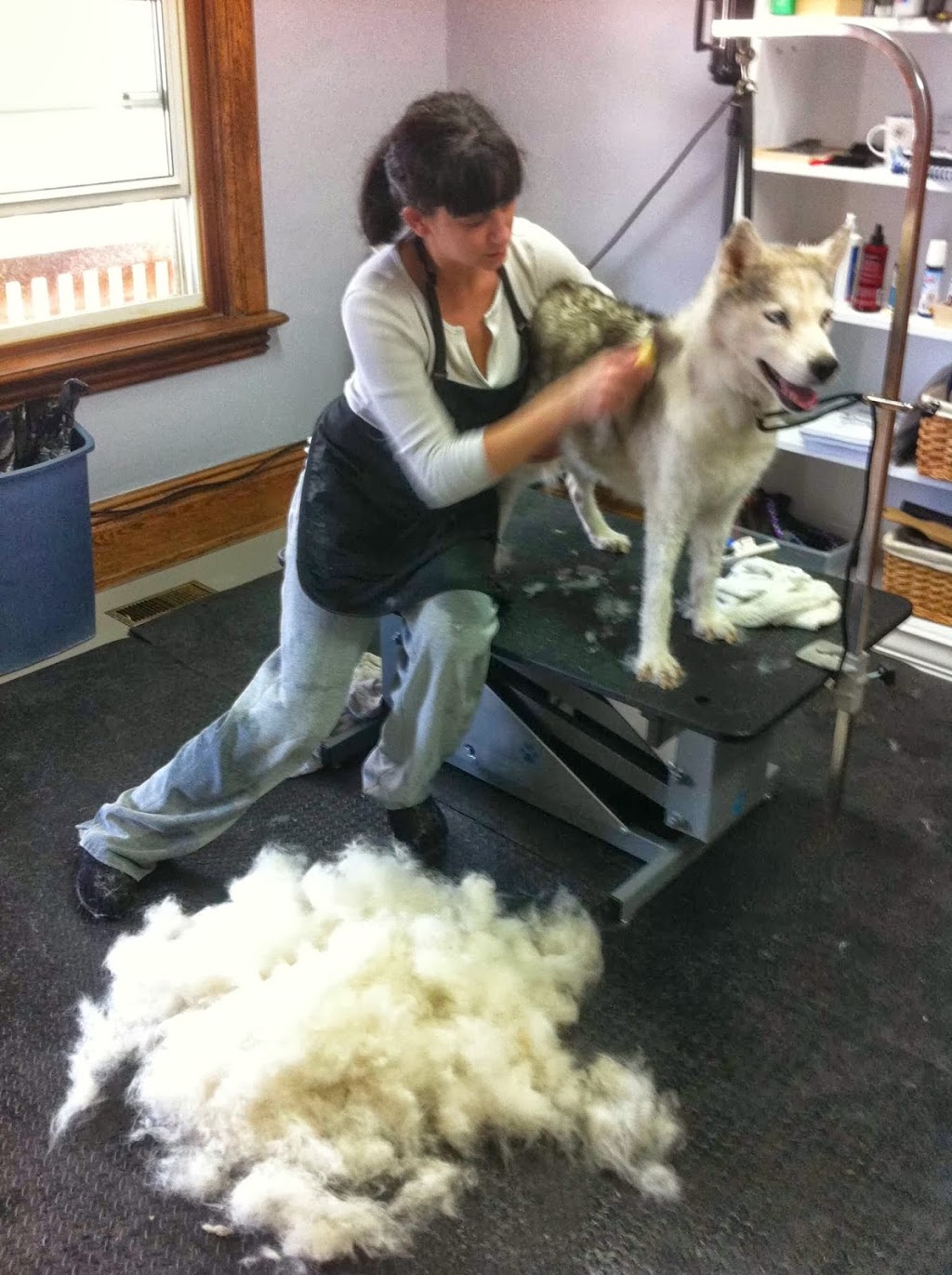 Puppy Love Grooming Salon | 121 William St, Merlin, ON N0P 1W0, Canada | Phone: (519) 689-4089