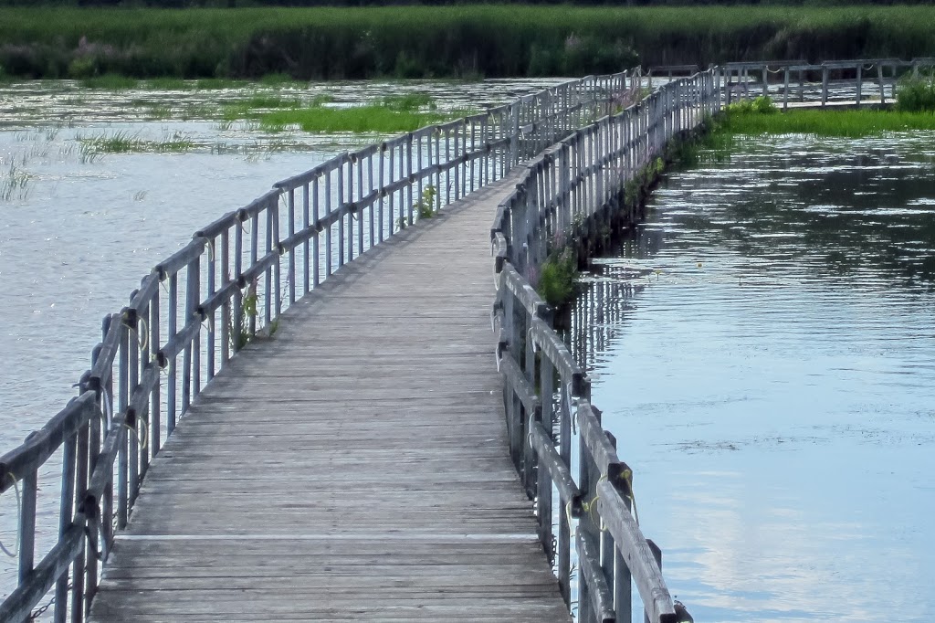 Sentier écologique de la Grande Baie | Unnamed Road, Oka, QC J0N 1E0, Canada