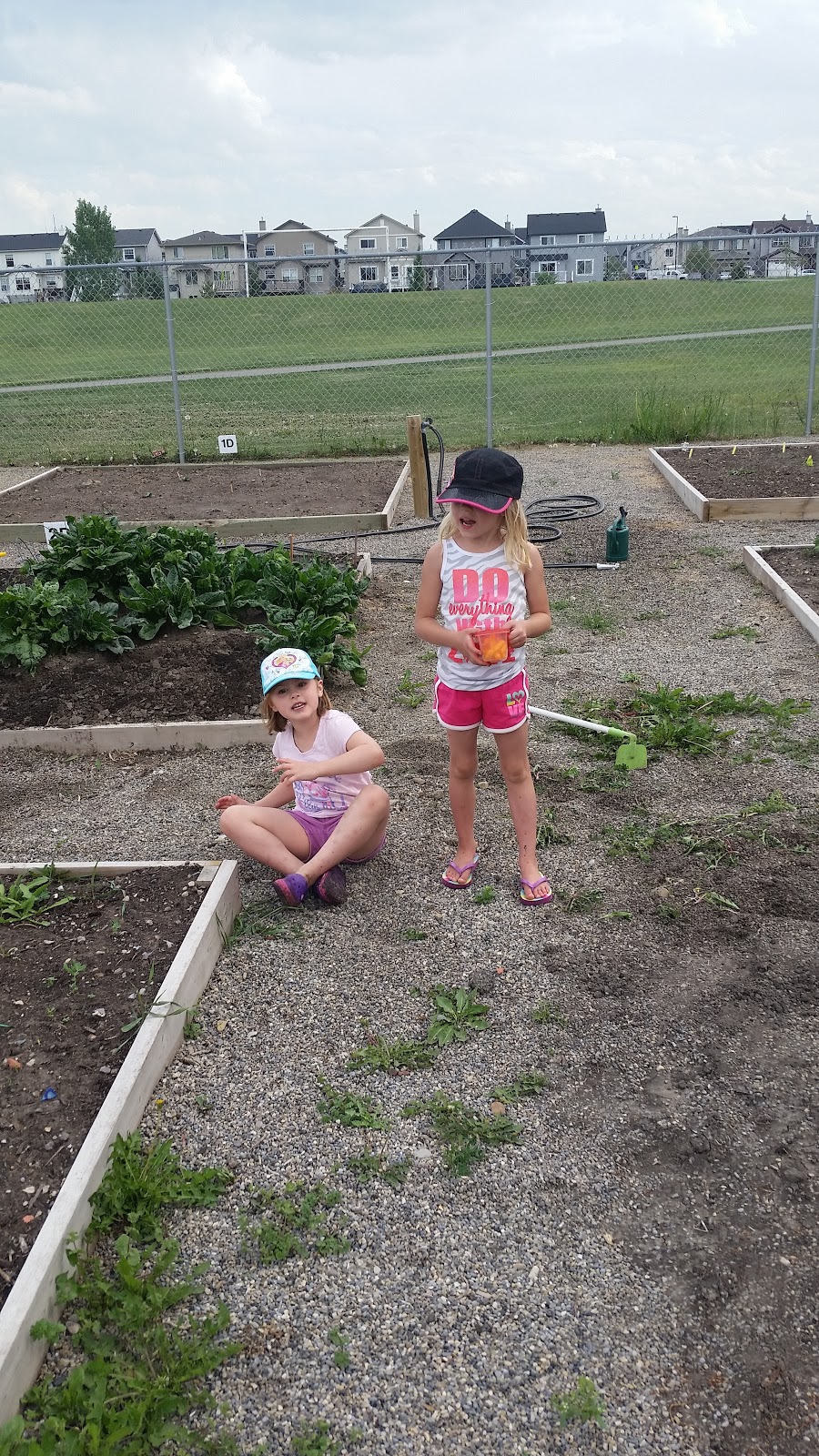 Airdrie Community Gardens | Box 80026, Airdrie, AB T4B 2V8, Canada