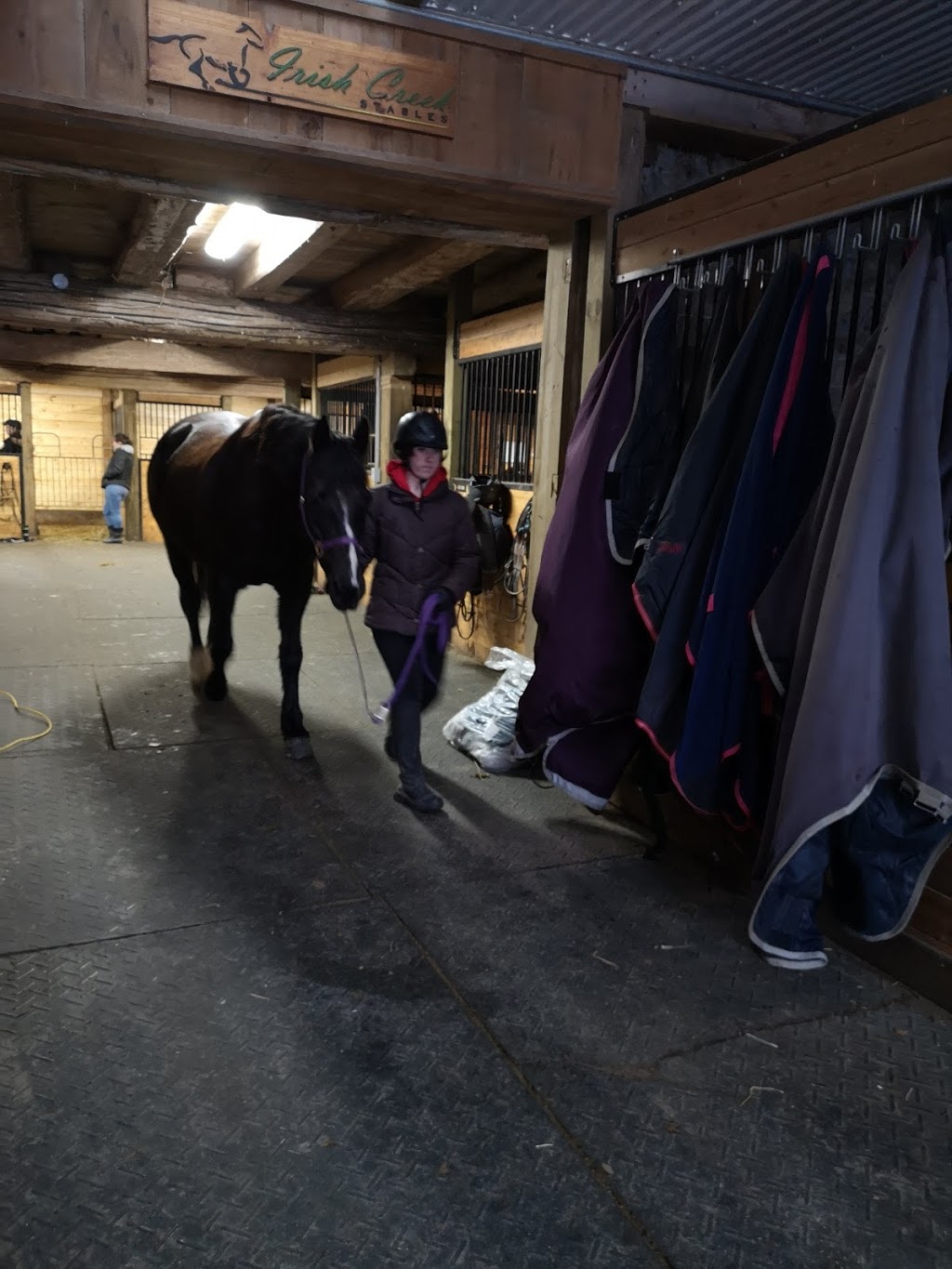 Irish Creek Stables | 6530 Wellington County Rd 34, Cambridge, ON N3C 2V4, Canada | Phone: (519) 658-2998