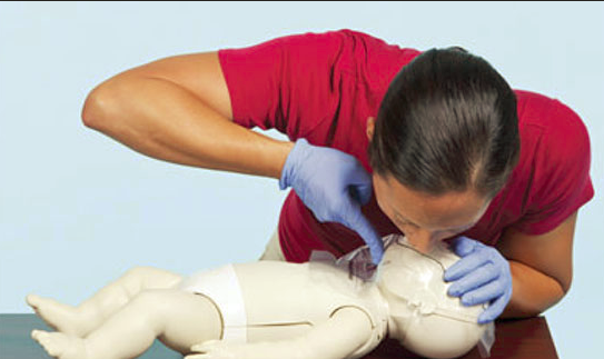 Basic Plus First Aid Training | 1800 Alexandra Ave, Saskatoon, SK S7K 1A1, Canada | Phone: (306) 254-4302