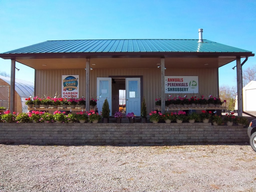 Bloomin Crazy Garden Centre | 230 Hwy 20 E, Fonthill, ON L0S 1E6, Canada | Phone: (905) 980-4376