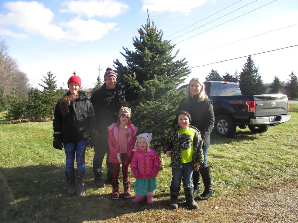 Country Christmas Trees | 5374 Hamilton Rd, Dorchester, ON N0L 1G6, Canada | Phone: (519) 268-0865