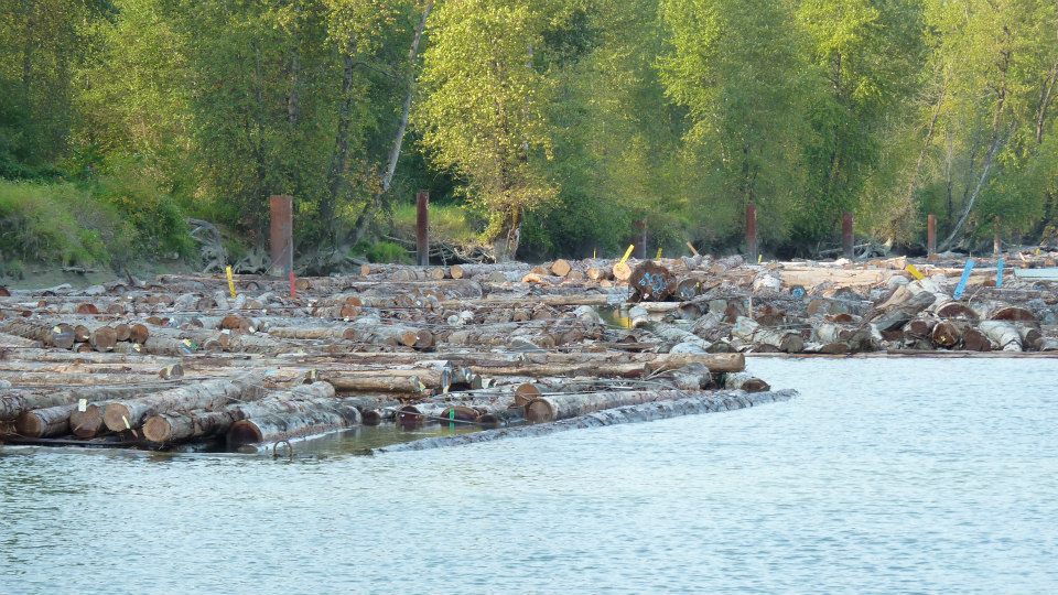 Robert Point Rest Area in Barnston Island Regional Park | Dyke Rd, Surrey, BC V4N, Canada | Phone: (604) 530-4983