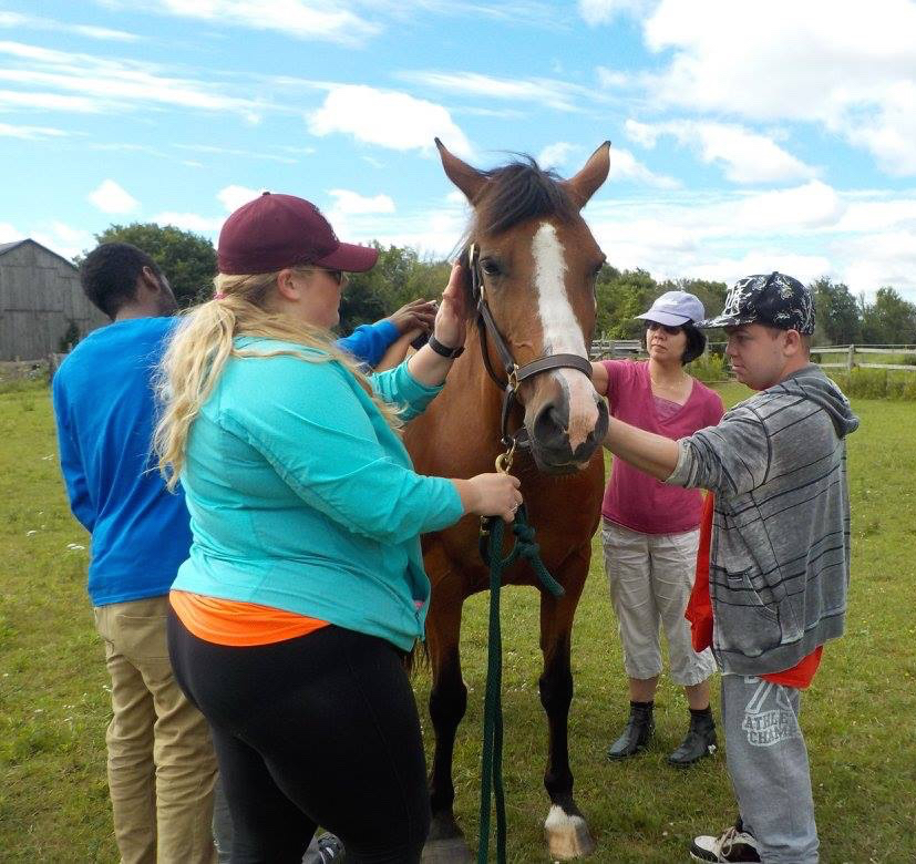 The Equine Connection Therapeutic Riding & Learning Centre | Private farm, Caledon Village, ON L7K 2B2, Canada | Phone: (647) 237-3485