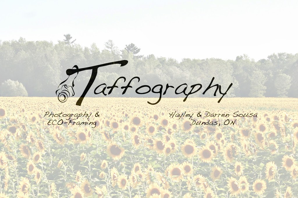Taffography | 57 Grant Blvd, Dundas, ON L9H 4L9, Canada | Phone: (905) 870-3173