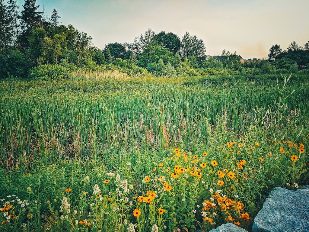 Lake Wilcox Fish & Wildlife Refuge | Richmond Hill, ON L4E 3H4, Canada | Phone: (905) 771-8800