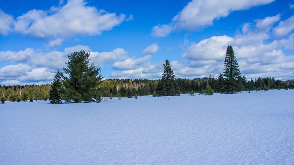 Algonquin Treks - Guided Canoe Trips | Box 116, Whitney, ON K0J 2M0, Canada | Phone: (613) 800-2106