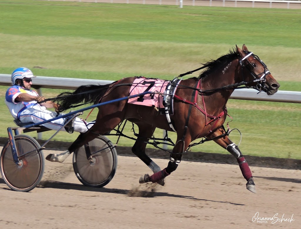 Alberta Standardbred Horse Association | 151 East Lake Boulevard Northeast, #207 NW Corner of the Vet Ag Bldg. Second floor, no, wheelchair access, Airdrie, AB T4A 2G1, Canada | Phone: (403) 263-7765