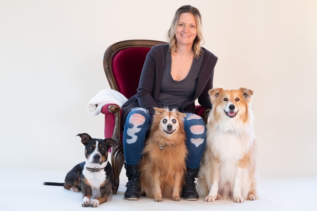 Sit Down and Stay Dog Training School | 208 Doans Ridge Rd, Welland, ON L3B 5N4, Canada