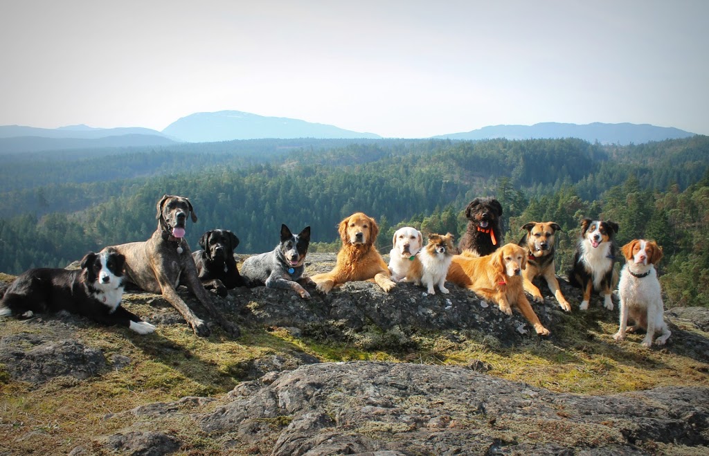 Pooch Pack Adventures | 3312 Hammond Bay Rd, Nanaimo, BC V9T 1E6, Canada | Phone: (250) 619-8241