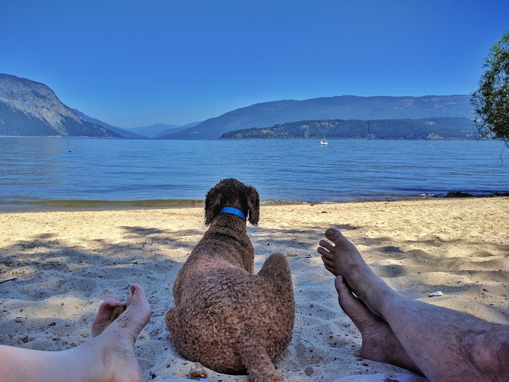 Pierres Point Campground | 2569 Campground Rd, Salmon Arm, BC V1E 3A2, Canada | Phone: (250) 253-1340